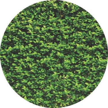 Imagem de Painel de Lona Redondo Textura Muro Inglês - Fabrika de Festa