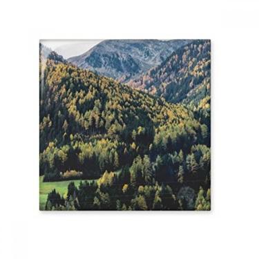 Imagem de Pedra adorna de tijolos vitrificados de cerâmica verde Cenário da natureza da montanha