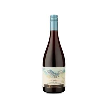Imagem de Vinho Ventisquero Queulat Pinot Noir 750ml