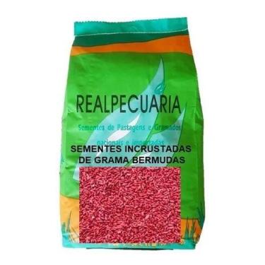 Imagem de Sementes de Grama Bermudas de 1 Kg - Realpecuaria