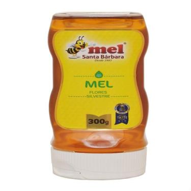 Imagem de Mel Santa Bárbara Flores Silvestres 300g