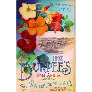 Imagem de ALVANDA Placa De Metal Para Pendurar Em Parede, Arte 1898, Burpee'S Farm, Pacote Anual Sementes Flores Vintage, Propaganda, Prato Decoração, Lata Porta Casa, Sala, 8X12"