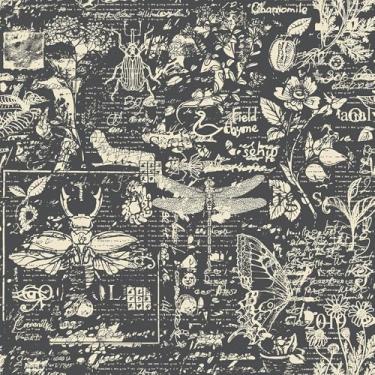 Imagem de REDAMANCY Cinza Cinza Insetos Animais Esboço Arte Abstrata Arte Abstrata Papel de Parede Adesivo de Contato Papel de Parede Fácil de Descolar para Mesa de Cabeceira Gaveta Gabinete Locatário