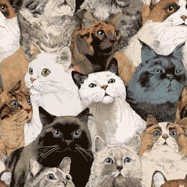 Imagem de Papel de parede fofo Moody moderno multi gato autoadesivo para aquarela animal de estimação papel de contato removível à prova d'água para quarto berçário sala de estar decoração amigável para