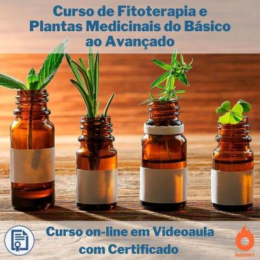 Imagem de Curso on-line em videoaula de Fitoterapia e Plantas Medicinais do Básico ao Avançado com Certificado