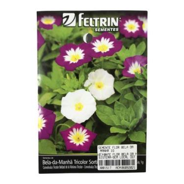 Imagem de SEMENTE FLOR BELA DA MANHA 1G SEMENTE FLOR BELA DA MANHA 1g - NÃO INFO