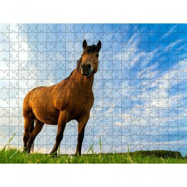 Imagem de Quebra-cabeça Inclusivo 300 Peças Cavalos De Elite Que Encantam E Ensinam