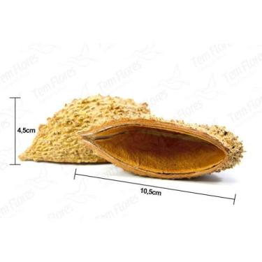 Imagem de Sementes Cascas Diversas para Decoração Flores Seca Variadas - Pense F