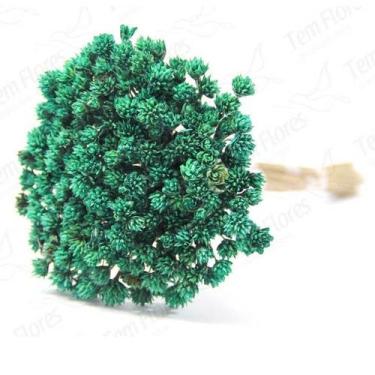 Imagem de Espeta Nariz Desidratado - Pense Flores, Verde