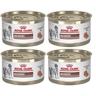 Imagem de KIT Royal Canin Recovery Ração Recuperação para Cão e Gato