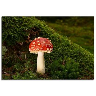 Imagem de Pôster de cogumelo Toadstool impressões em tela de outono arte de parede para decoração de escritório doméstico não ramed 30,5 x 20,3 cm