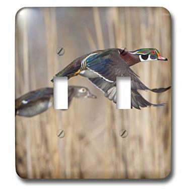 Imagem de 3dRose lsp_95624_2 Usa, Washington State, Pato de madeira, macho, fêmea, Flight Us48 Glu0011 Gary Luhm Interruptor duplo
