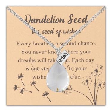 Imagem de Gzrlyf Colar de semente de desejo de dente-de-leão presente inspirador presente encorajador colar de joias de dente-de-leão, one size, Aço inoxidável, Sem Pedra Preciosa