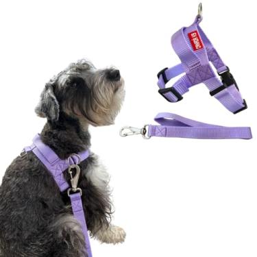 Imagem de Coleira Peitoral Anti-puxão com Guia para Cão de Pequeno Porte - Canadá K9 (lilás)