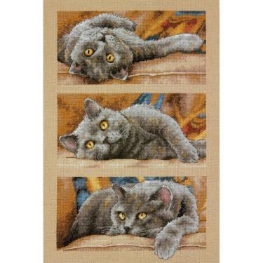 Imagem de Dimensions Kit de ponto cruz 70-35301 Max the Cat Counted Cross Stitch, 14 unidades, bege Aida, 25,4 x 38,1 cm