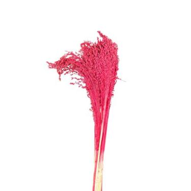Imagem de Buquê Flor De Vassoura Cores Natural Arranjo Decoração Festa - Flora F