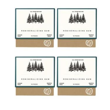 Imagem de Goma De Mascar Orgânica De Menta Mastique Remineralizante Sem Açúcar P