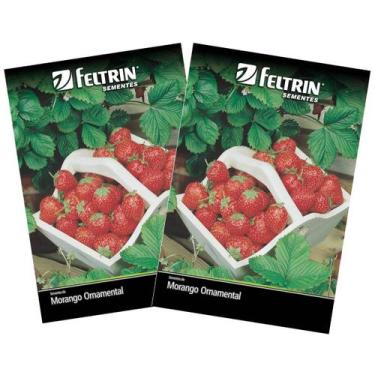 Imagem de 2X Sementes de Morango Ornamental Vermelho Ruge FELTRIN