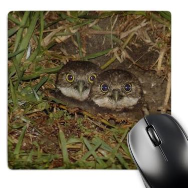 Imagem de 3dRose LLC Mouse pad coruja Baby Burrow 20 x 20 x 0,63 cm (mp_7347_1)