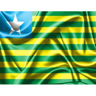 Imagem de Bandeira do Estado do Piauí 80cmx140cm Tecido Oxford 100% Poliéster - 