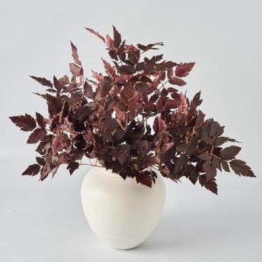 Imagem de Avoeco Ramos artificiais para vaso, 5 peças de hastes falsas para vasos, spray de folhas de plantas Cimicifuga, ramosa de ameixa ramosa para decoração de casa, escritório (ameixa, M)