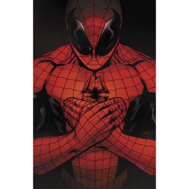 Imagem de O Espetacular Homem-Aranha (2025) 05