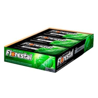 Imagem de Chiclete Florestal Menta com 15 unidades