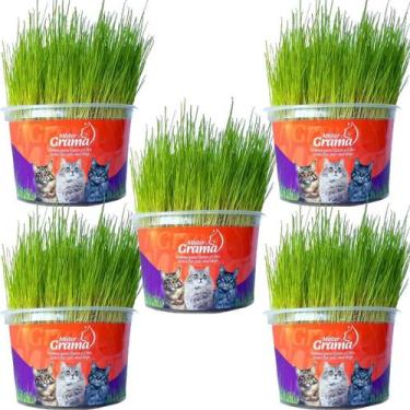 Imagem de Grama Mister Para Gatos Bola De Pelo Kit 5 Unidades