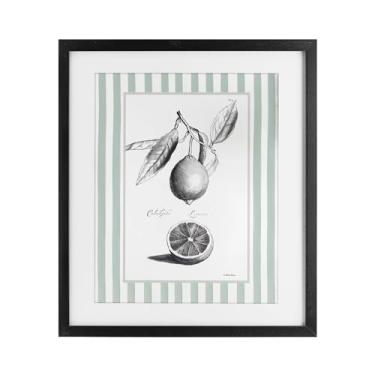 Imagem de Stupell Industries Impressão emoldurada preta com borda listrada cítrica vintage sob vidro por Lettered and Lined, 40,6 x 33,5 cm