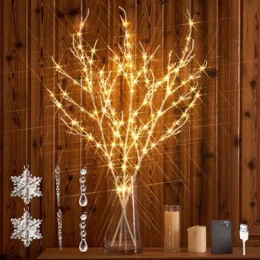 Imagem de Hairui Ramos iluminados com glitter iridescente, 120 luzes de fadas, plugue USB e operado por bateria com temporizador, galhos brancos com luzes 81 cm para decoração interna de Natal em casa
