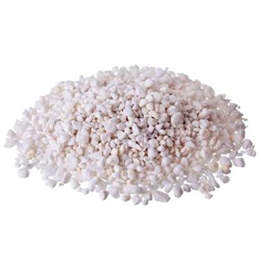 Imagem de Agrosoil Perlita Expandida Substrato 3L para Jardinagem e Propagação de Mudas
