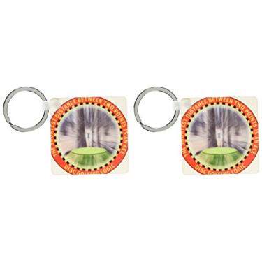 Imagem de 3dRose Disc Golf Logic 1 um motorista de golfe de disco frisbee voa direto para a cesta de correntes – Chaveiros, 5,7 x 11,4 cm, conjunto de 2 (kc_19244_1)