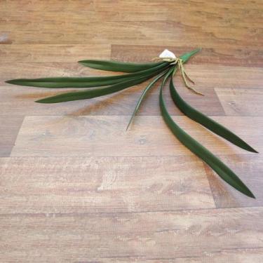 Imagem de Folha de Orquídea Artificial X6 Cymbidium Toque Real - LILY