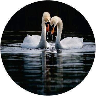 Imagem de Capa De Estepe Ecosport Crossfox 2 Cisnes