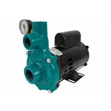 Imagem de Motobomba Injetora 1cv 60Hz 110/220V I-209 ECI-100/40M Eletroplas