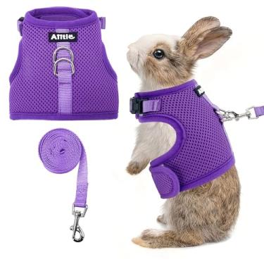 Imagem de AIITLE Conjunto de arnês e coleira respirável, alças ajustáveis e design de fita mágica, colete de ajuste confortável para filhotes, gatos, esquilos, ratos, coelhos, furões, caminhadas ao ar livre
