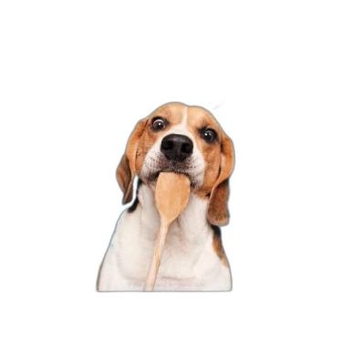 Imagem de Quadro Fotografia Cachorro Na Cozinha 45X34 Com Vidro Preta