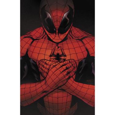 Imagem de O Espetacular Homem-Aranha (2025) 05