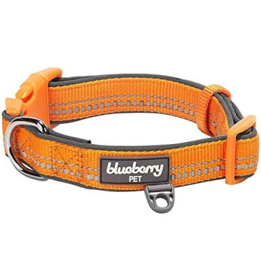 Imagem de (Small, Padded - Orange with 3M Reflective Ribbon) - Blueberry Pet Soft & Comfy 3M Reflective Pastel Colour Padded Dog Collar, Matching Leash & Harness Available Separately