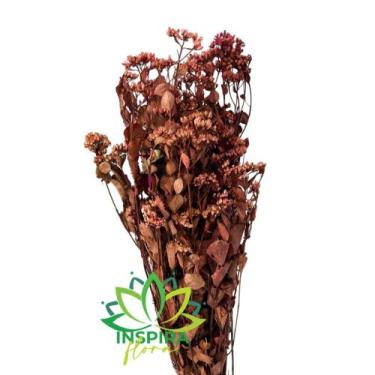 Imagem de Buque Flor Chuvisco Natural Desidratada Buque Flores Secas - Flora Ful