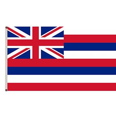Imagem de Fyon Bandeira havaiana bandeira do estado do Havaí bandeira 9 x 1,5 m