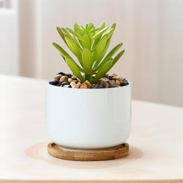 Imagem de Vaso de plantas suculentas com orifício de drenagem e pires de madeira, pequeno vaso redondo moderno para mesa interna, peitoril de janela, plantador de mesa minimalista