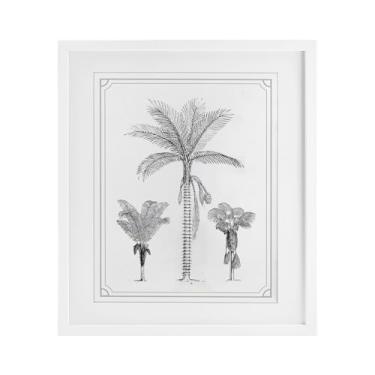 Imagem de Stupell Industries Impressão emoldurada branca de esboços de trio de palmeiras sob vidro, design por letras e forrado, 53 x 43 cm