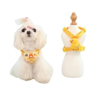 Imagem de Conjunto De Coleira E Guia Para Cães Pequenos, Coleira Ajustável Em Ma