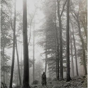 Imagem de CD TAYLOR SWIFT - 1. THE &quot;IN THE TREES&quot; EDITION DELUXE