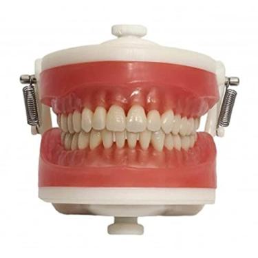 Imagem de Manequim Articulado Universal Top Dentística Pd100 - Pronew