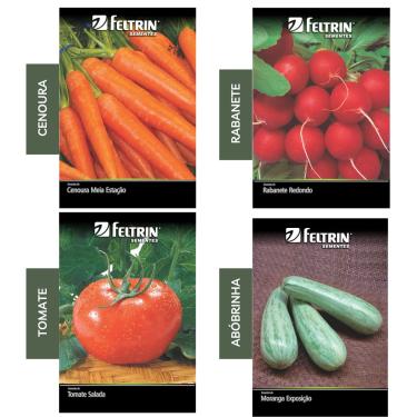 Imagem de Kit 4 Sementes Legumes Horta Em Casa Jardins Vasos (Cenoura, Rabanete, Tomate, Abóbrinha)