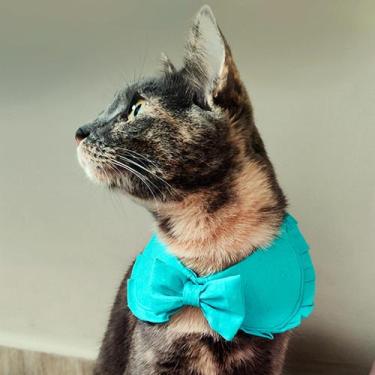 Imagem de Colarinho pet, roupa pet, com babado - Atenas - Petna Moda Pet, GG