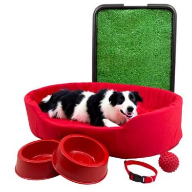 Imagem de Kit Pet Grande Cama Europa com Sanitário Grama e Acessórios - Supri Pe