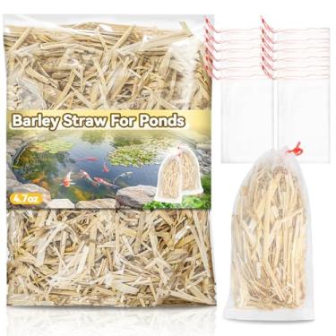 Imagem de MAQIHAN Palha de cevada para lagoas - tratamento de lagos de fardos de palha até 2000 galões, suporta equilíbrio de água, adequado para carpas, animais de estimação, jardim e cachoeira, inclui 10